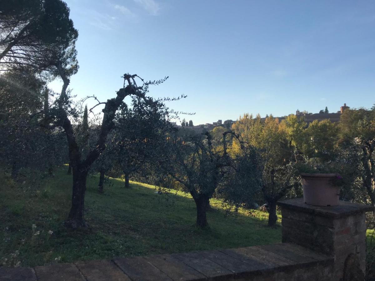 La Perla Tra Gli Ulivi Daire Siena Dış mekan fotoğraf