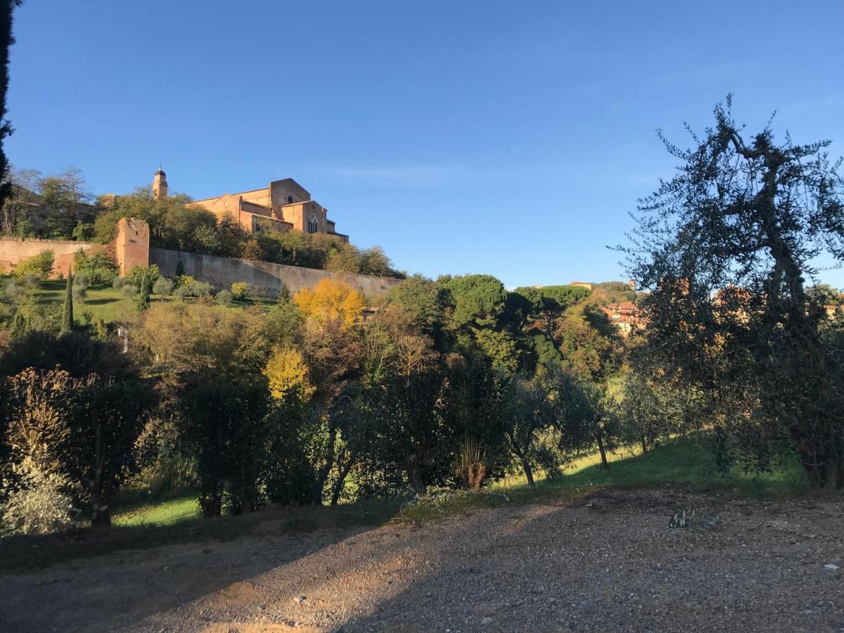 La Perla Tra Gli Ulivi Daire Siena Dış mekan fotoğraf