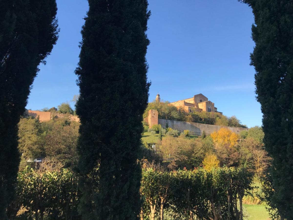 La Perla Tra Gli Ulivi Daire Siena Dış mekan fotoğraf